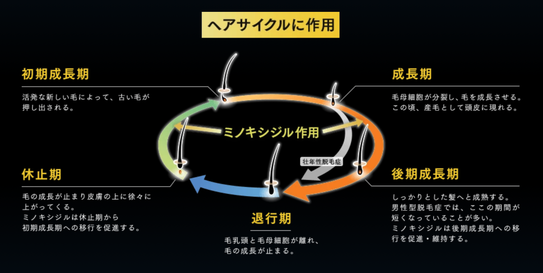 ヘアサイクル