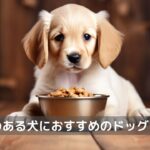 偏食犬ドッグフード