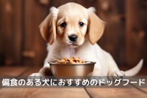 偏食犬ドッグフード