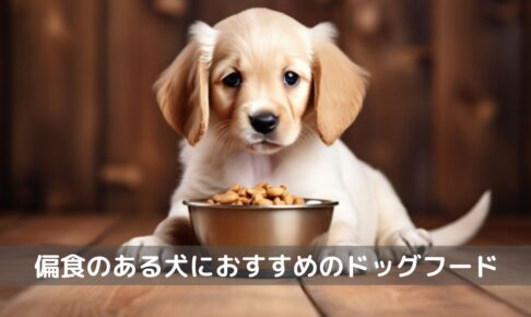 偏食犬ドッグフード