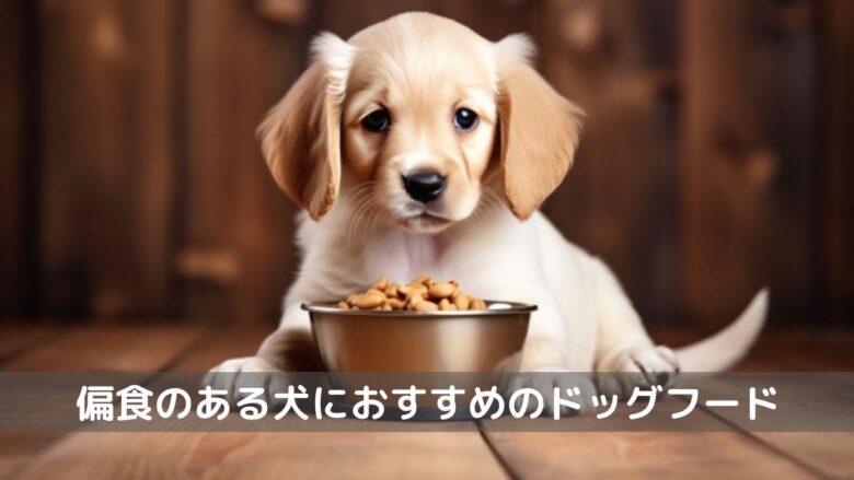 偏食犬ドッグフード